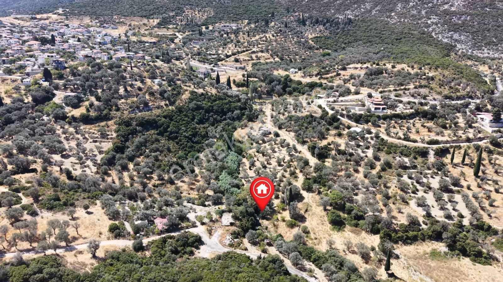 Kösedere Köyünde 270 M2 Yola Cepheli Arazi — fotoğraf 8