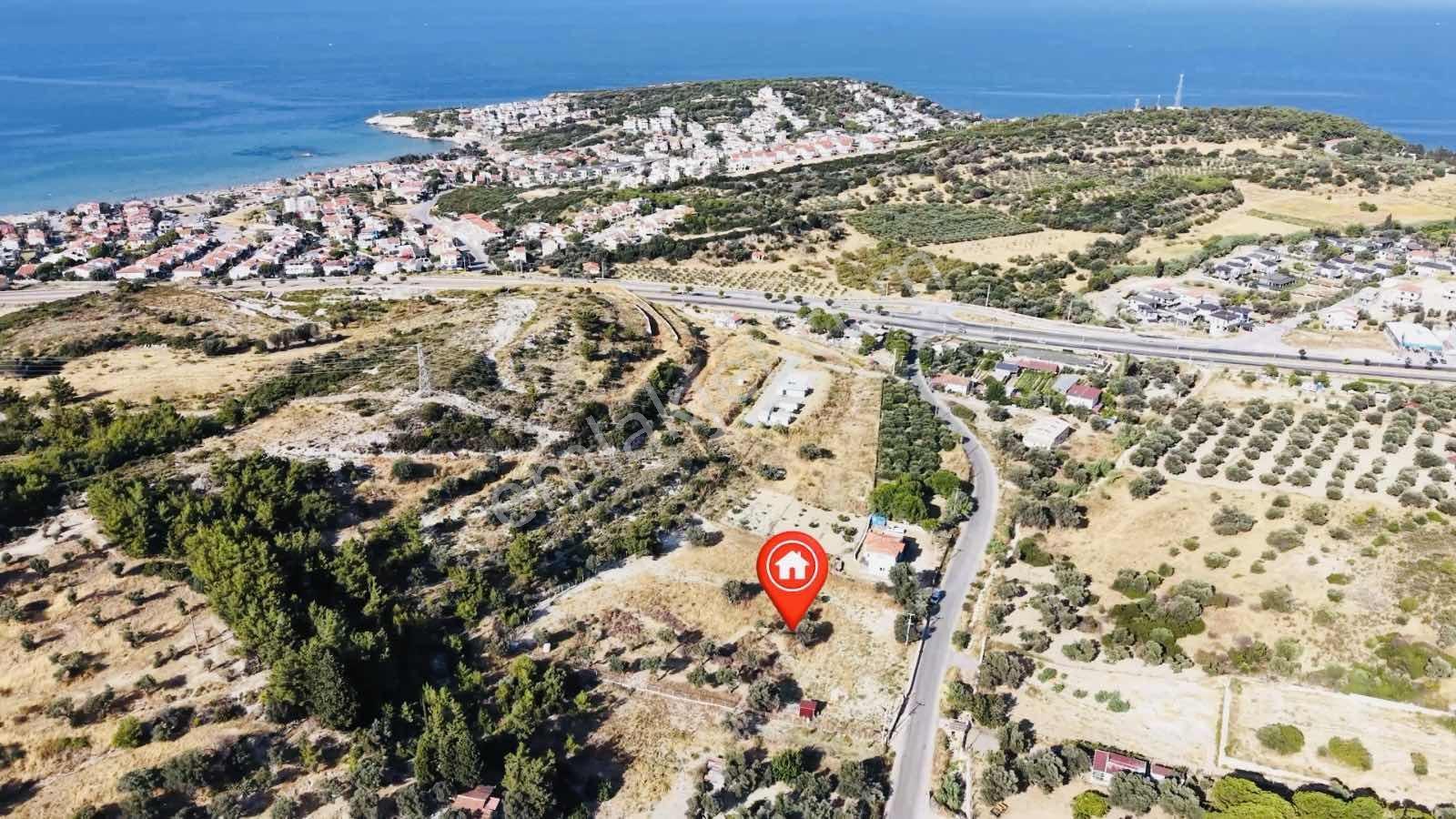 Startkey Ada Gayrimenkul'den Ardıç Koyuna Yakın Tarla — fotoğraf 30