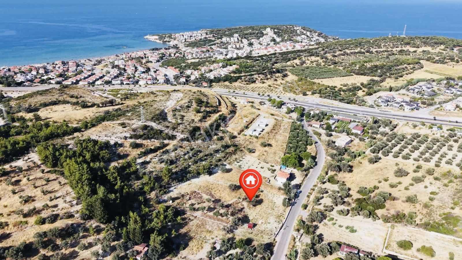 Startkey Ada Gayrimenkul'den Ardıç Koyuna Yakın Tarla — fotoğraf 31