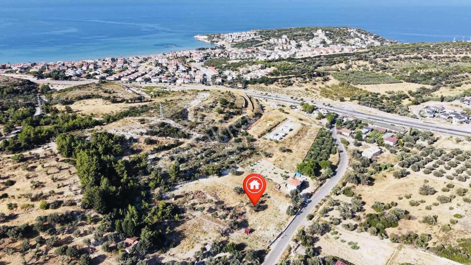 Startkey Ada Gayrimenkul'den Ardıç Koyuna Yakın Tarla — fotoğraf 33