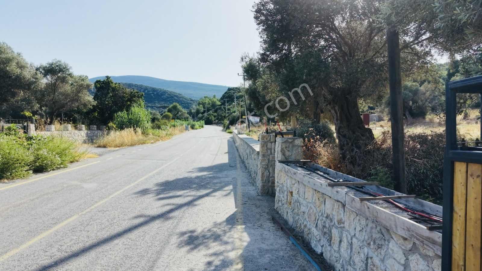 Startkey Ada Gayrimenkul'den Ardıç Koyuna Yakın Tarla — fotoğraf 34