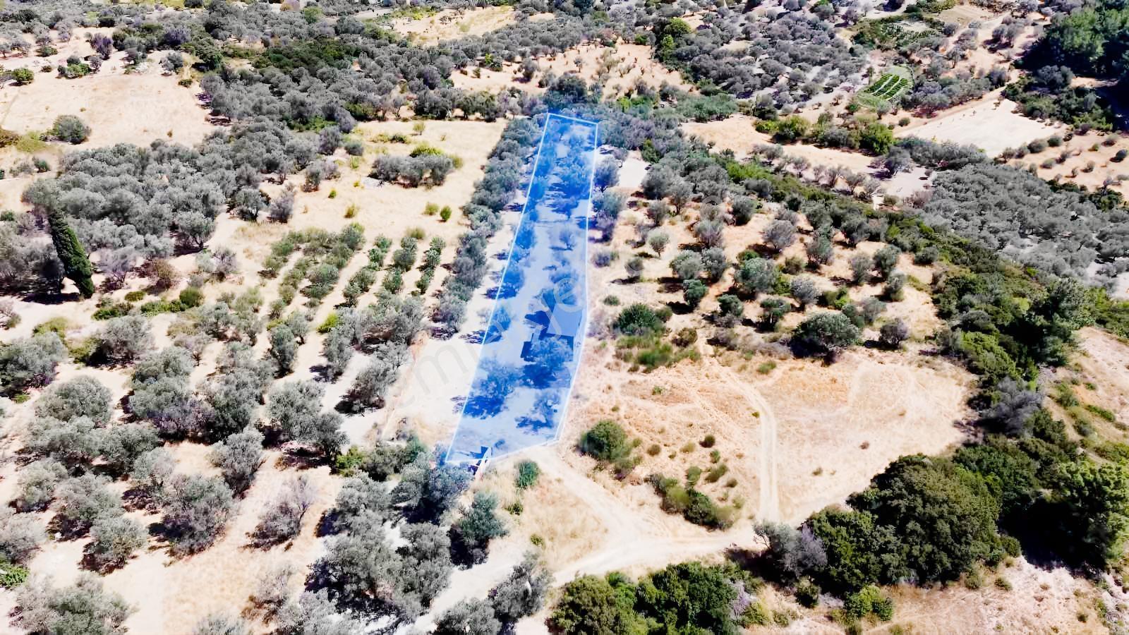 Kösedere Köyünde Deniz Manzaralı Ahşap Ev (elektrik Bağlı) — fotoğraf 3