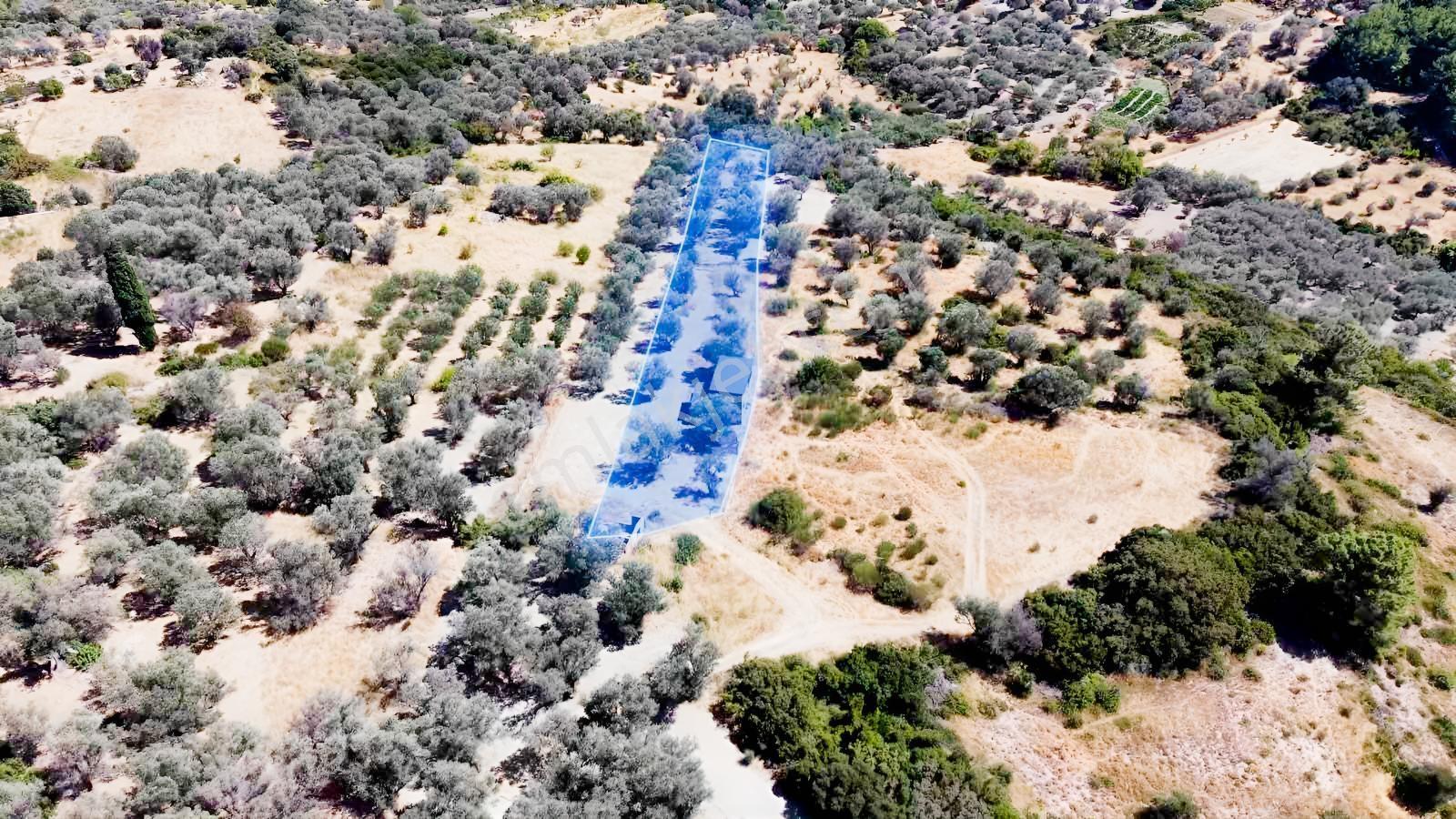 Kösedere Köyünde Deniz Manzaralı Ahşap Ev (elektrik Bağlı) — fotoğraf 4