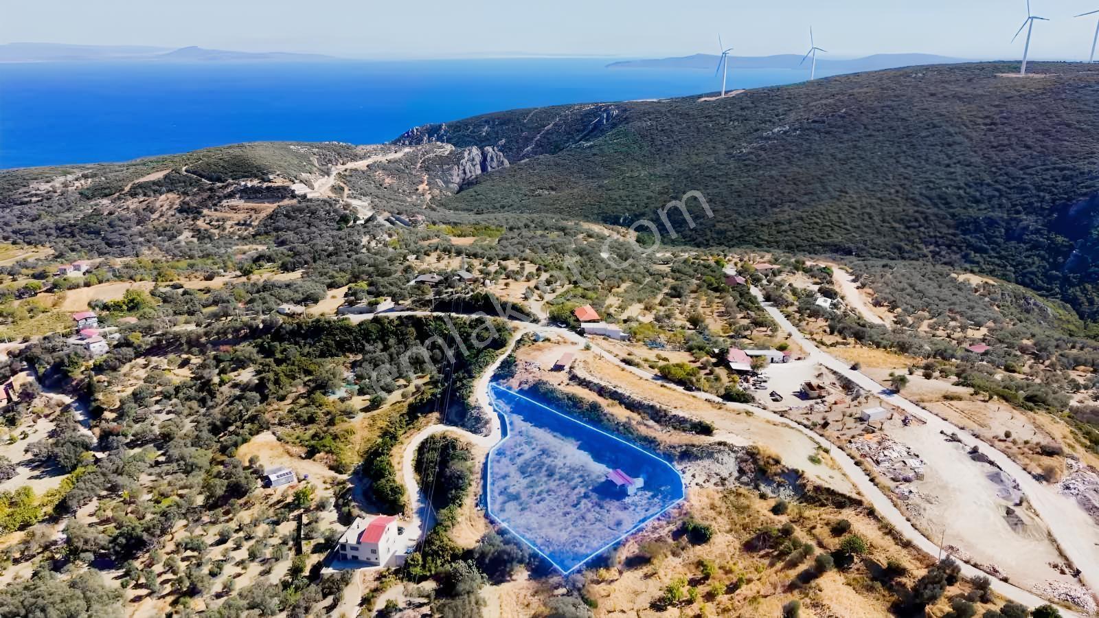 Eğlenhoca Köyünde 2.205 M2 Kadastral Yola Cepheli Tarla — fotoğraf 5