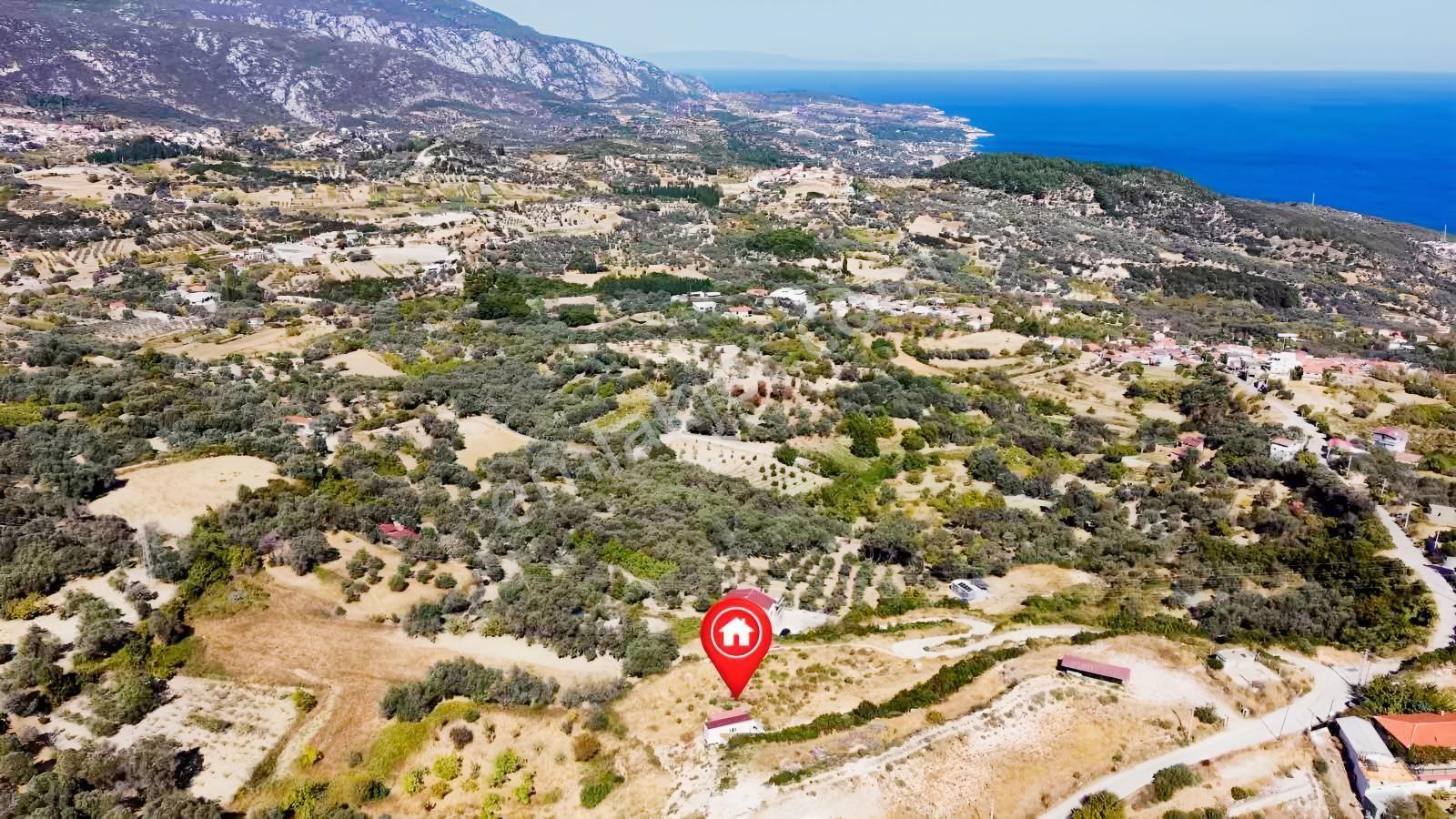 Eğlenhoca Köyünde 2.205 M2 Kadastral Yola Cepheli Tarla — fotoğraf 6