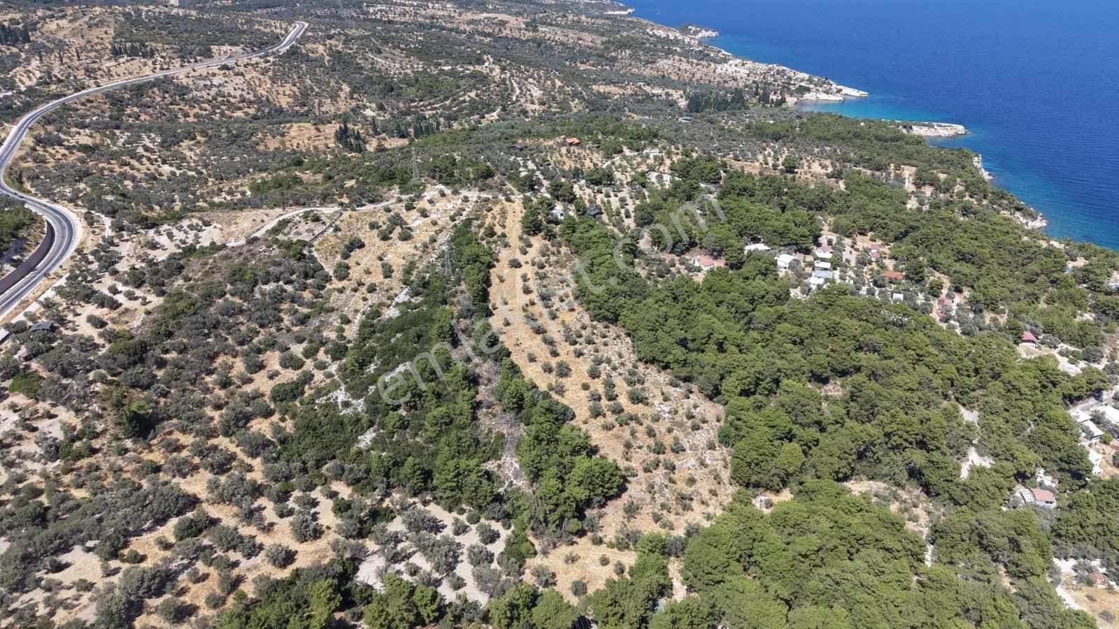 Startkey Ada Gayrimenkul'den Boyabağ Koyunda 12.300 M2 Tarla — fotoğraf 6