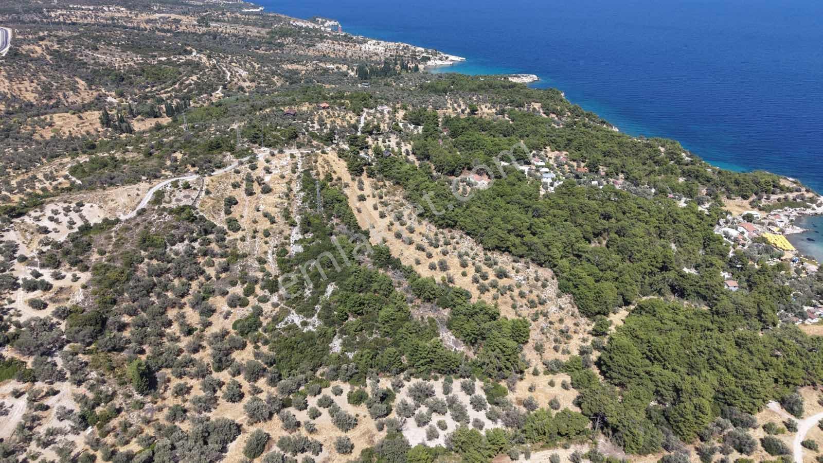 Startkey Ada Gayrimenkul'den Boyabağ Koyunda 12.300 M2 Tarla — fotoğraf 7