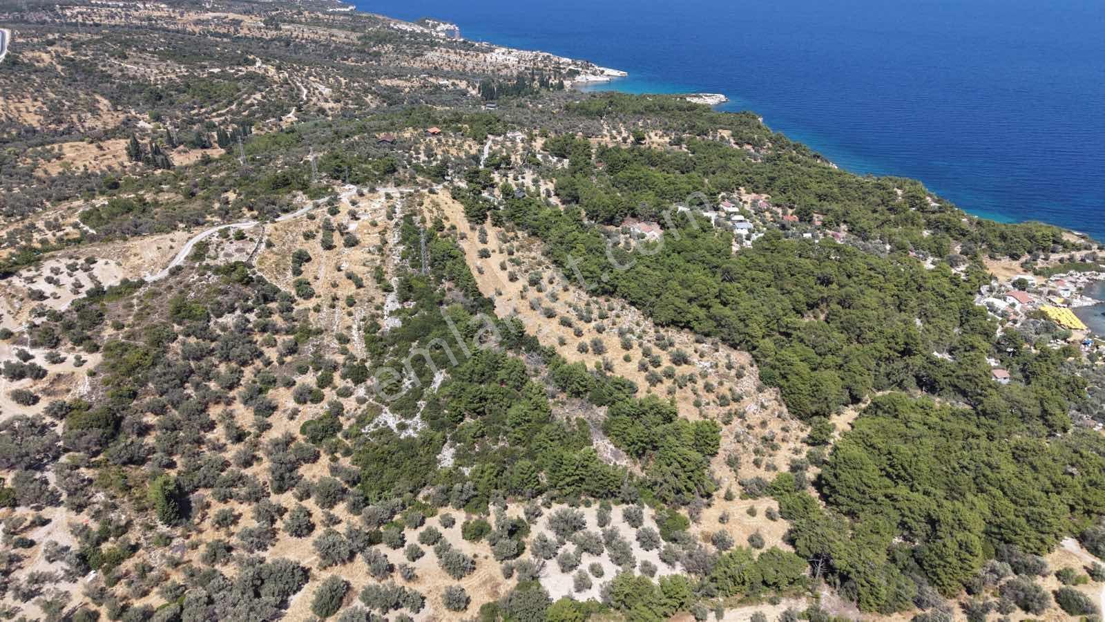 Startkey Ada Gayrimenkul'den Boyabağ Koyunda 12.300 M2 Tarla — fotoğraf 8