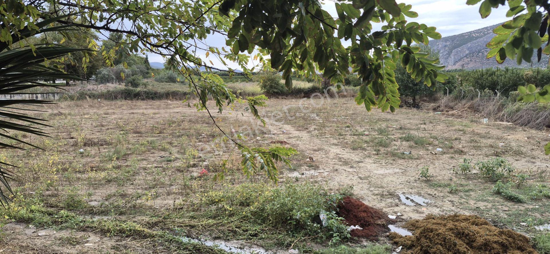 İzmir Selçuk Belevi’de D550 Ana Yol Üzerinde 4.496 M² Satılık Tarla — fotoğraf 9