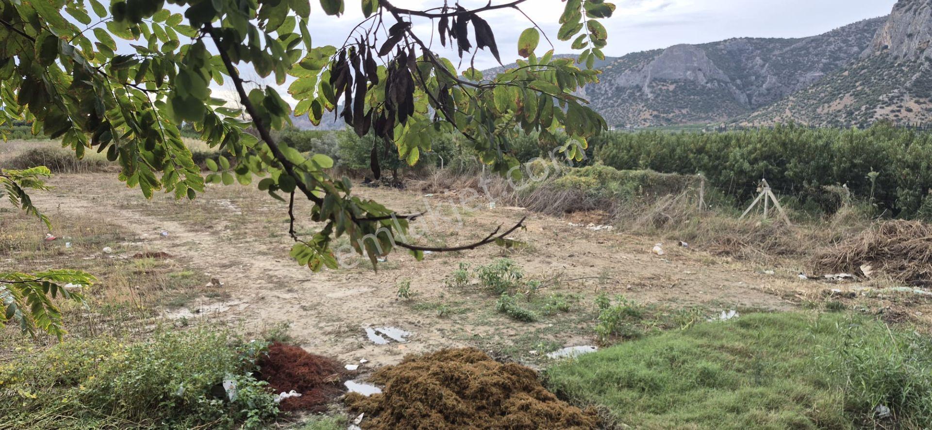 İzmir Selçuk Belevi’de D550 Ana Yol Üzerinde 4.496 M² Satılık Tarla — fotoğraf 10