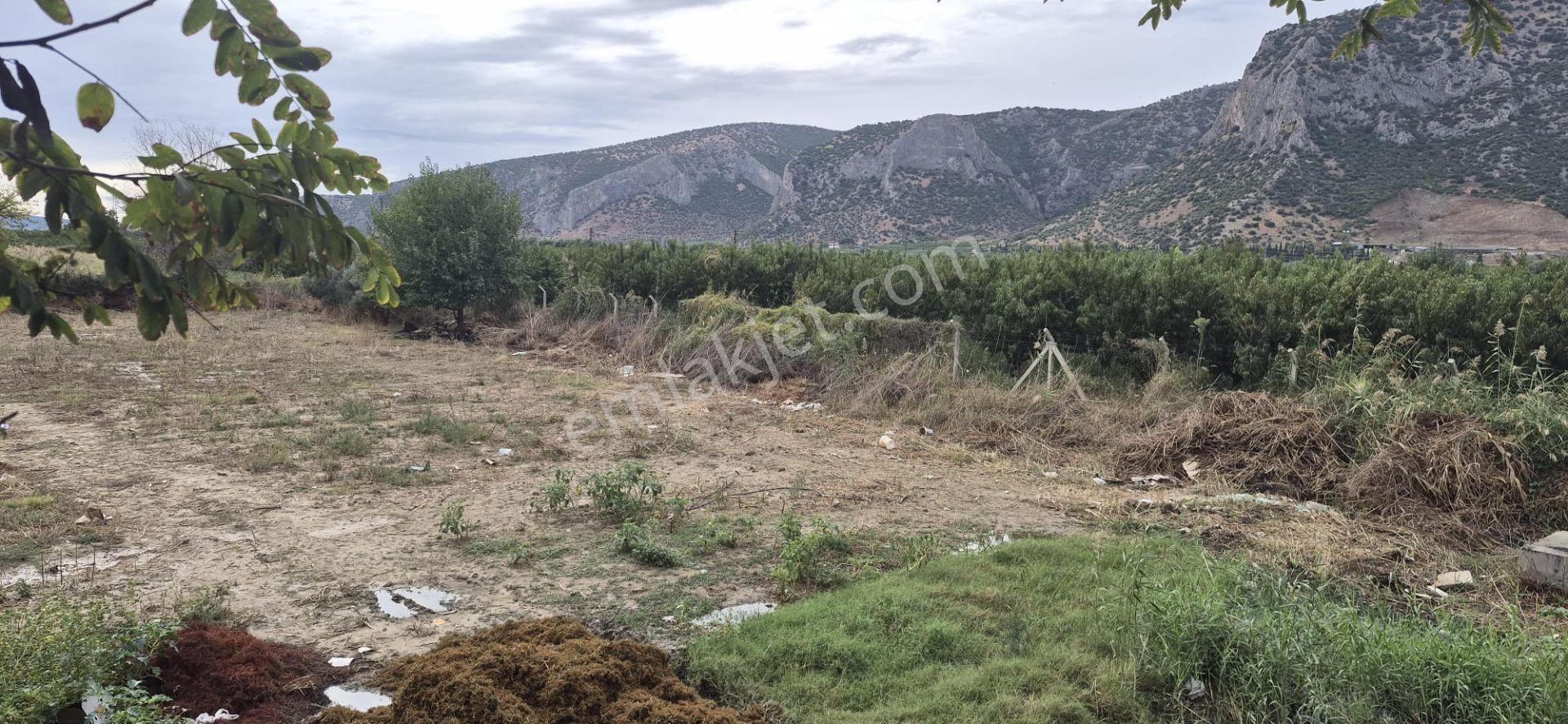 İzmir Selçuk Belevi’de D550 Ana Yol Üzerinde 4.496 M² Satılık Tarla — fotoğraf 11