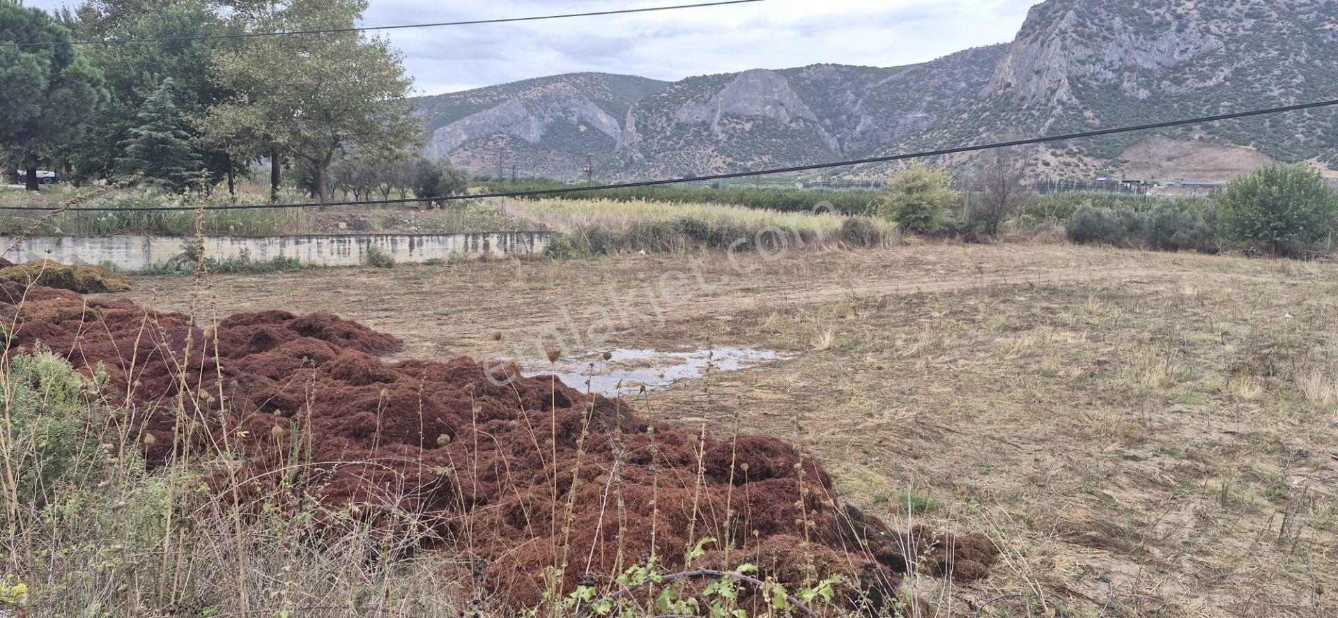 İzmir Selçuk Belevi’de D550 Ana Yol Üzerinde 4.496 M² Satılık Tarla — fotoğraf 13