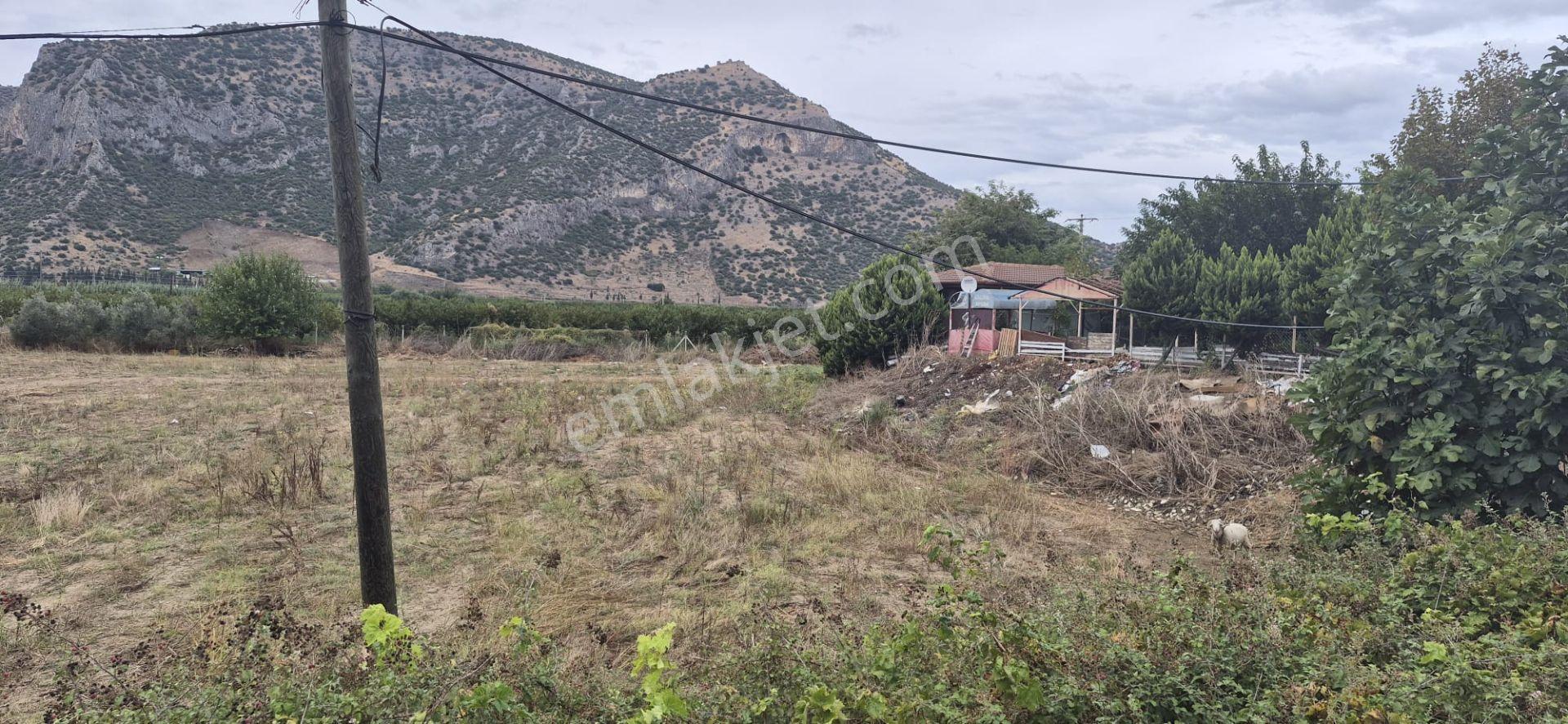 İzmir Selçuk Belevi’de D550 Ana Yol Üzerinde 4.496 M² Satılık Tarla — fotoğraf 14