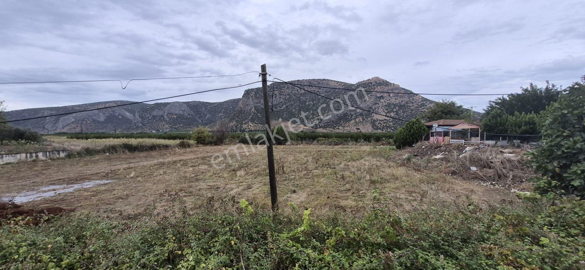 İzmir Selçuk Belevi’de D550 Ana Yol Üzerinde 4.496 M² Satılık Tarla — fotoğraf 16