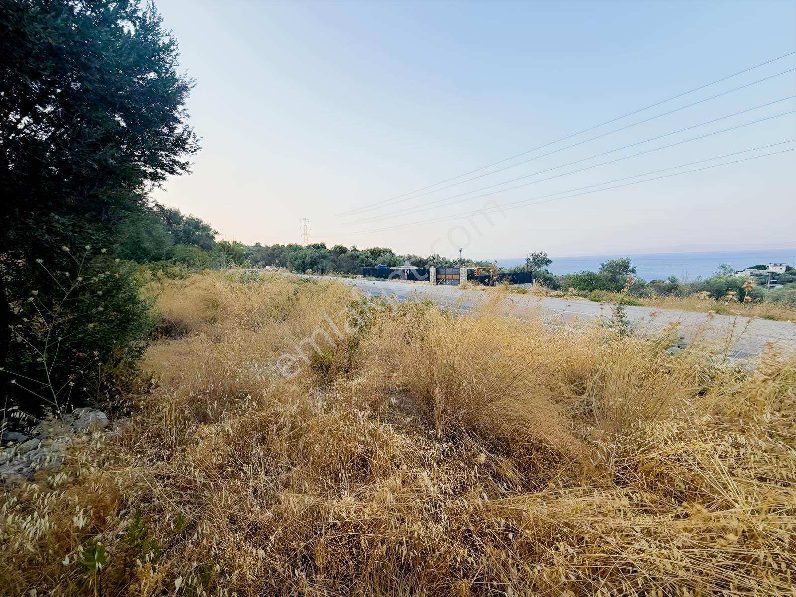 Startkey Ada Gayrimenkul'den Boyabağ Da 800 M2 Tarla — fotoğraf 6
