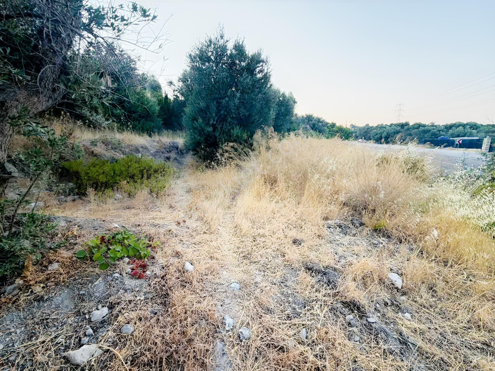 Startkey Ada Gayrimenkul'den Boyabağ Da 800 M2 Tarla — fotoğraf 8