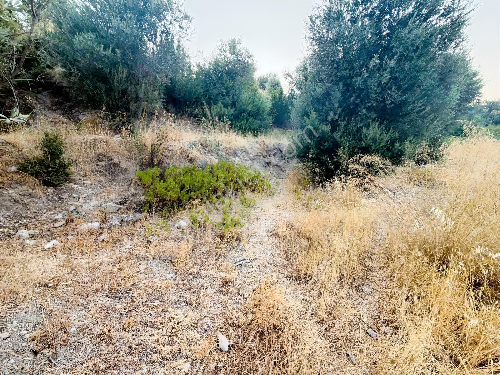 Startkey Ada Gayrimenkul'den Boyabağ Da 800 M2 Tarla — fotoğraf 9