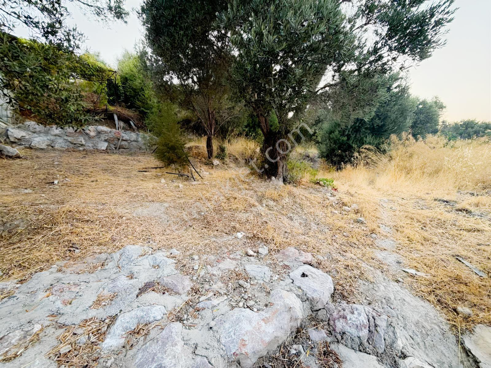 Startkey Ada Gayrimenkul'den Boyabağ Da 800 M2 Tarla — fotoğraf 10