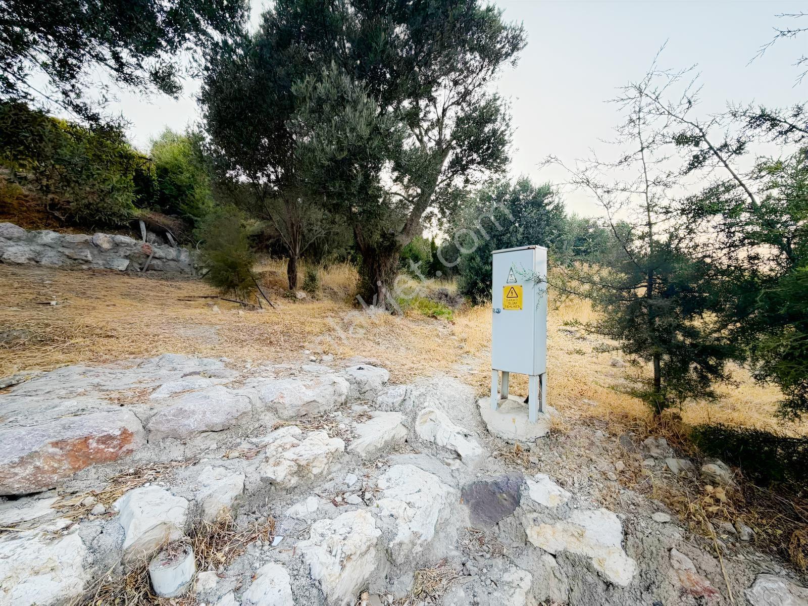 Startkey Ada Gayrimenkul'den Boyabağ Da 800 M2 Tarla — fotoğraf 11