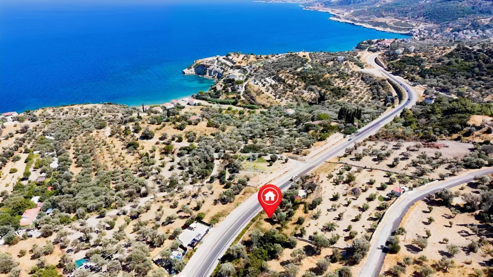Startkey Ada Gayrimenkul'den Boyabağ Da 800 M2 Tarla — fotoğraf 17