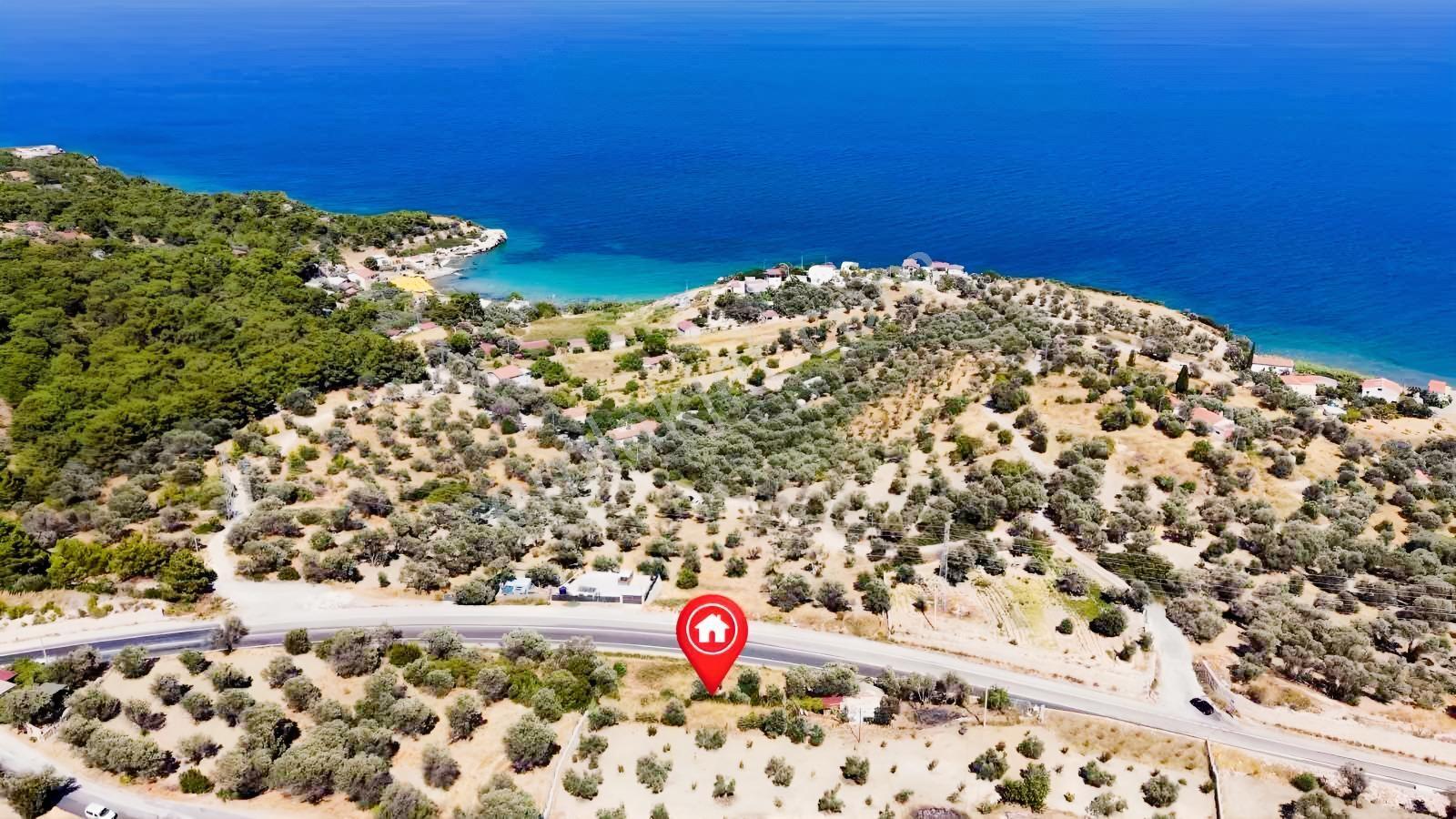 Startkey Ada Gayrimenkul'den Boyabağ Da 800 M2 Tarla — fotoğraf 22