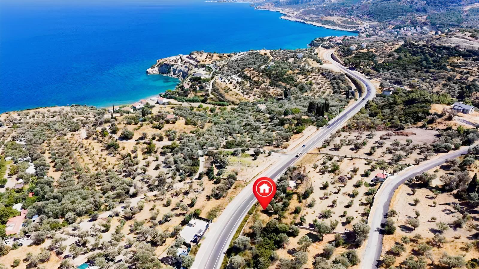 Startkey Ada Gayrimenkul'den Boyabağ Da 800 M2 Tarla — fotoğraf 29
