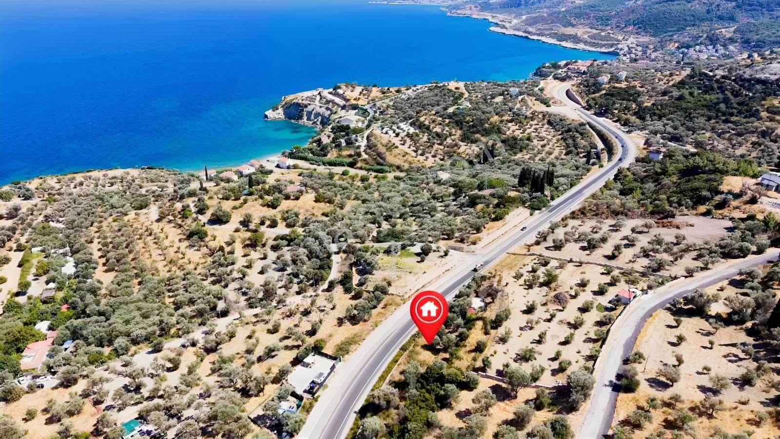 Startkey Ada Gayrimenkul'den Boyabağ Da 800 M2 Tarla — fotoğraf 30