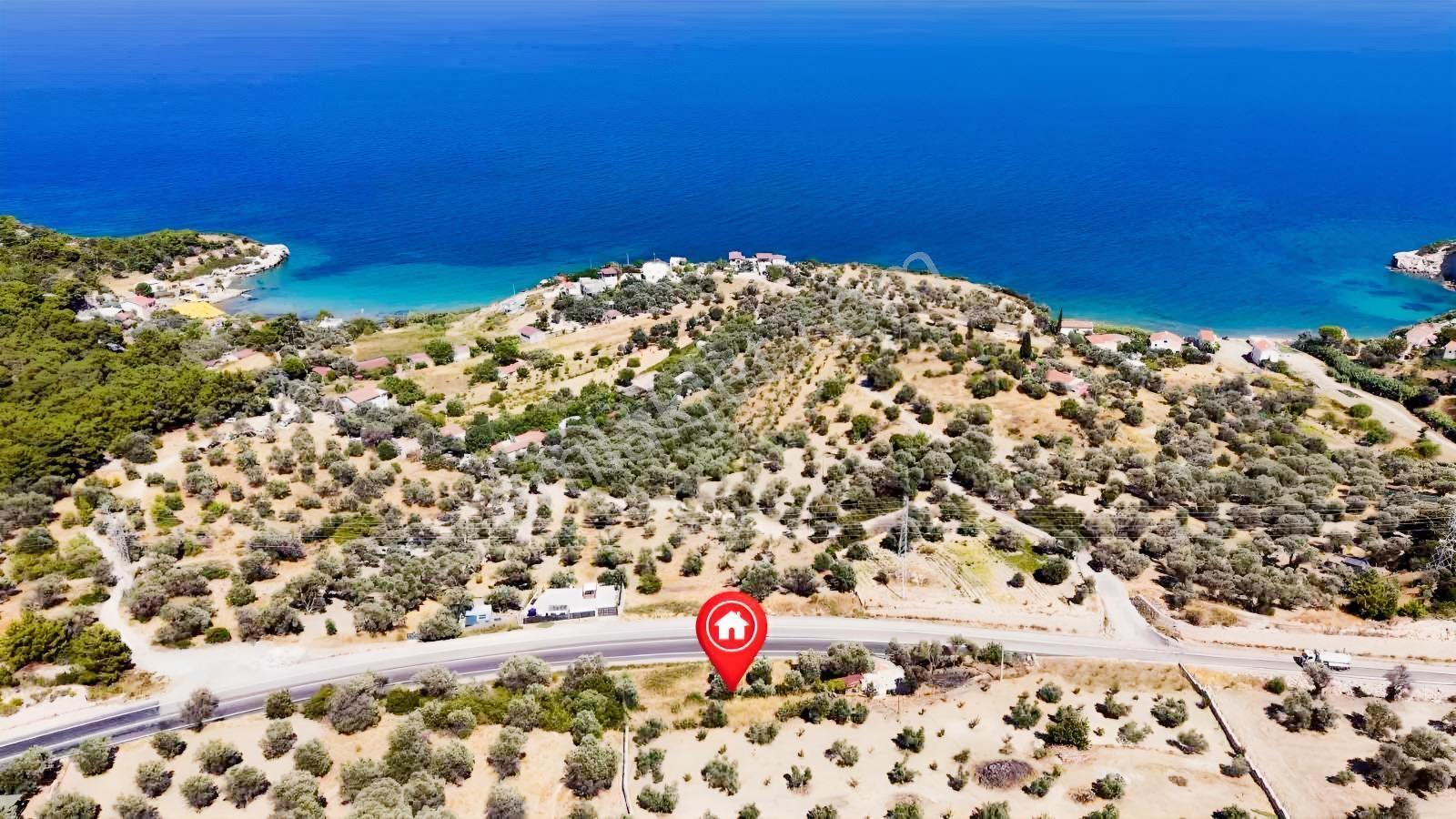 Startkey Ada Gayrimenkul'den Boyabağ Da 800 M2 Tarla — fotoğraf 32