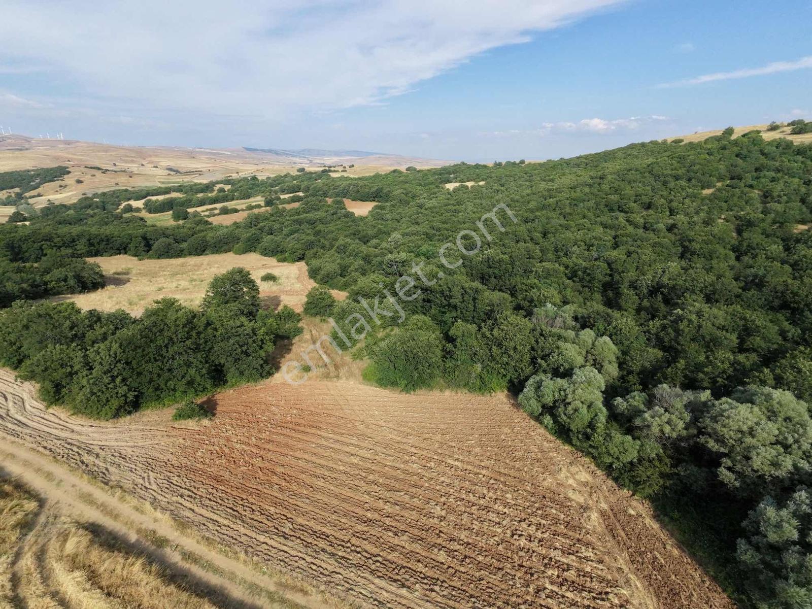 Rw Lıfe // Eskişehir Tepebaşı Uluderede Satılık Tarla — fotoğraf 3