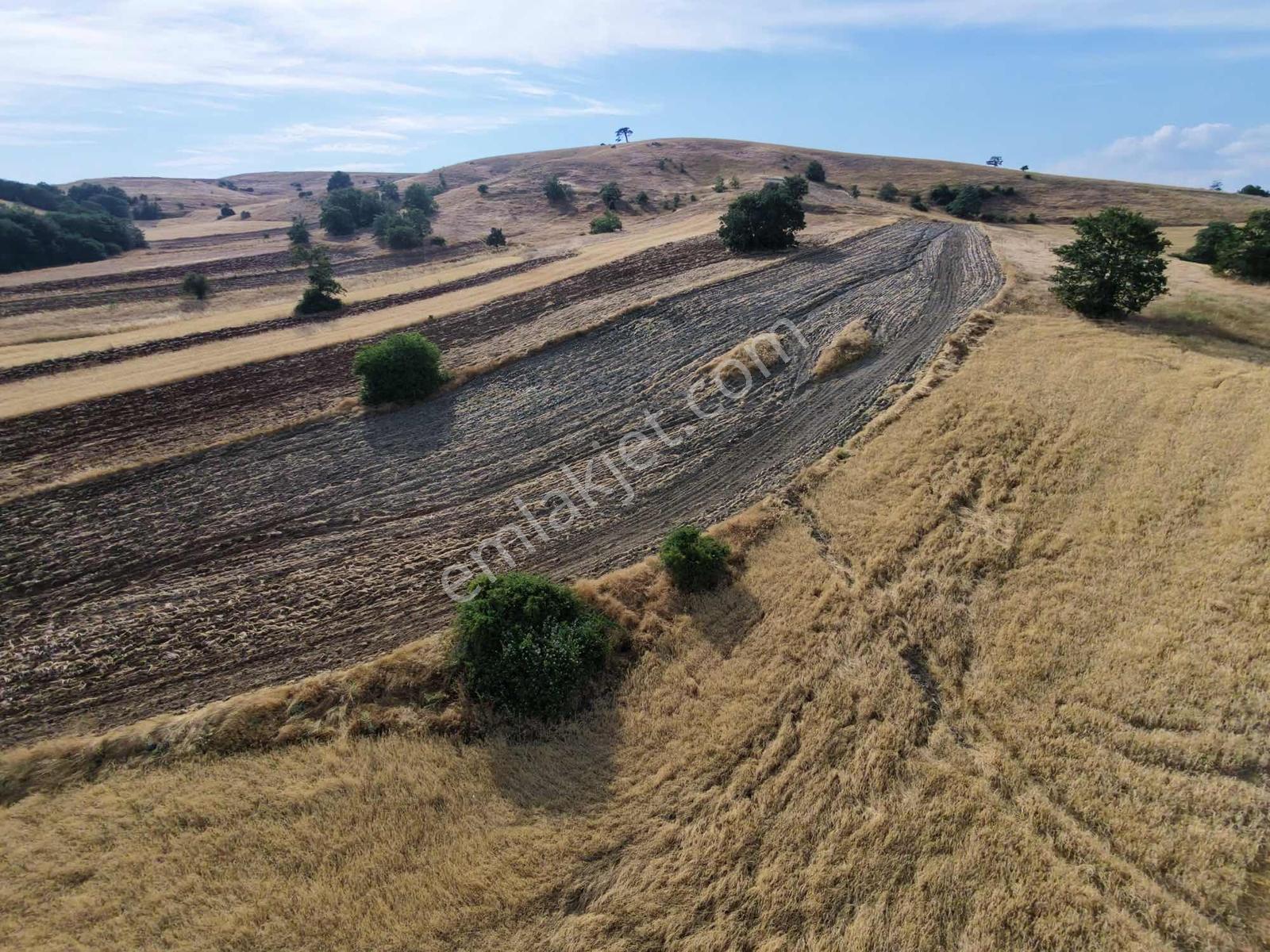 Rw Lıfe // Eskişehir Tepebaşı Uluderede Satılık Tarla — fotoğraf 9