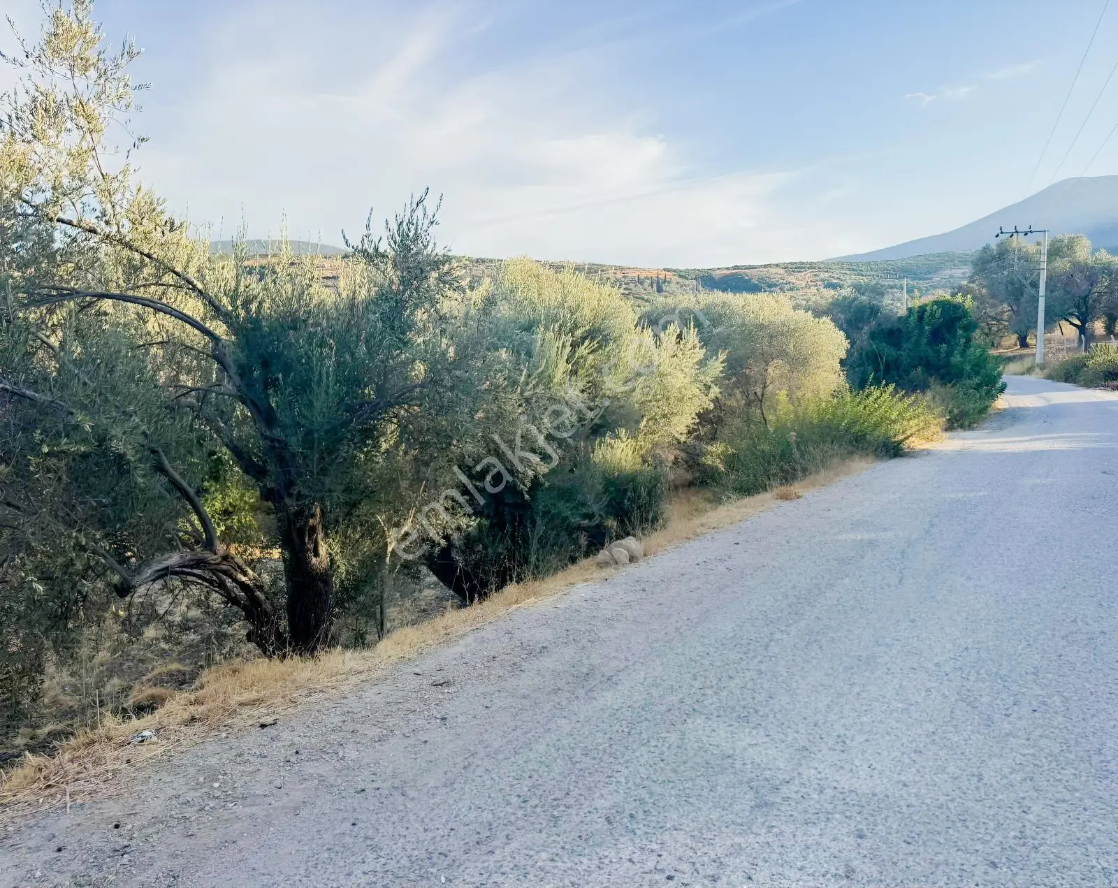 Kösedere Köyünde 566 M2 Tarla — fotoğraf 9