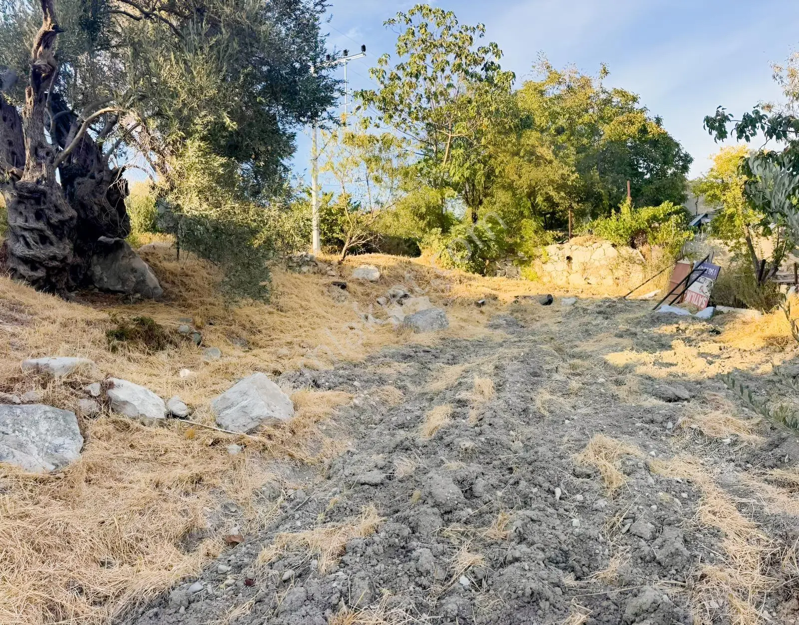 Kösedere Köyünde 566 M2 Tarla — fotoğraf 14