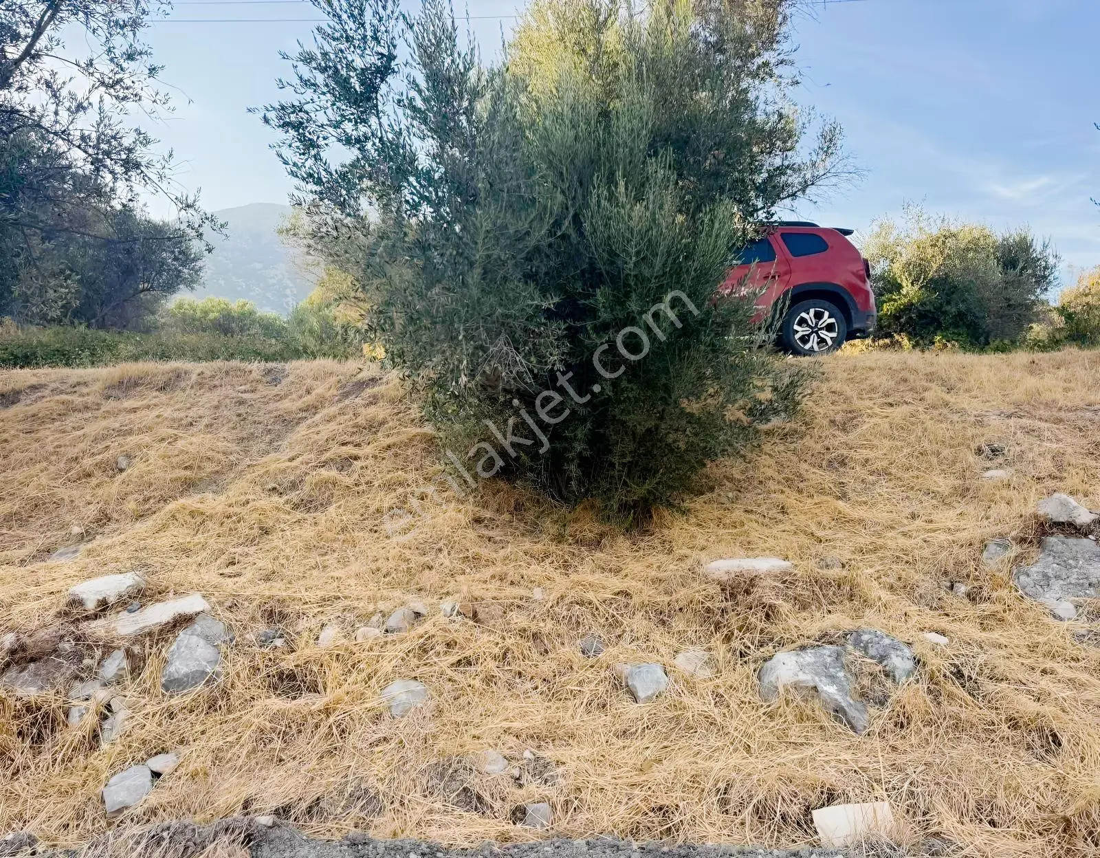 Kösedere Köyünde 566 M2 Tarla — fotoğraf 15