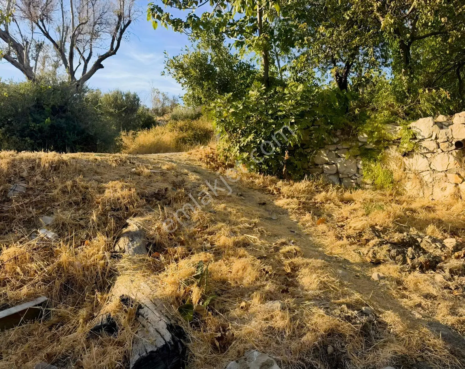 Kösedere Köyünde 566 M2 Tarla — fotoğraf 16