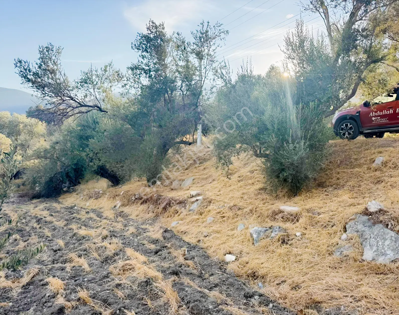 Kösedere Köyünde 566 M2 Tarla — fotoğraf 18