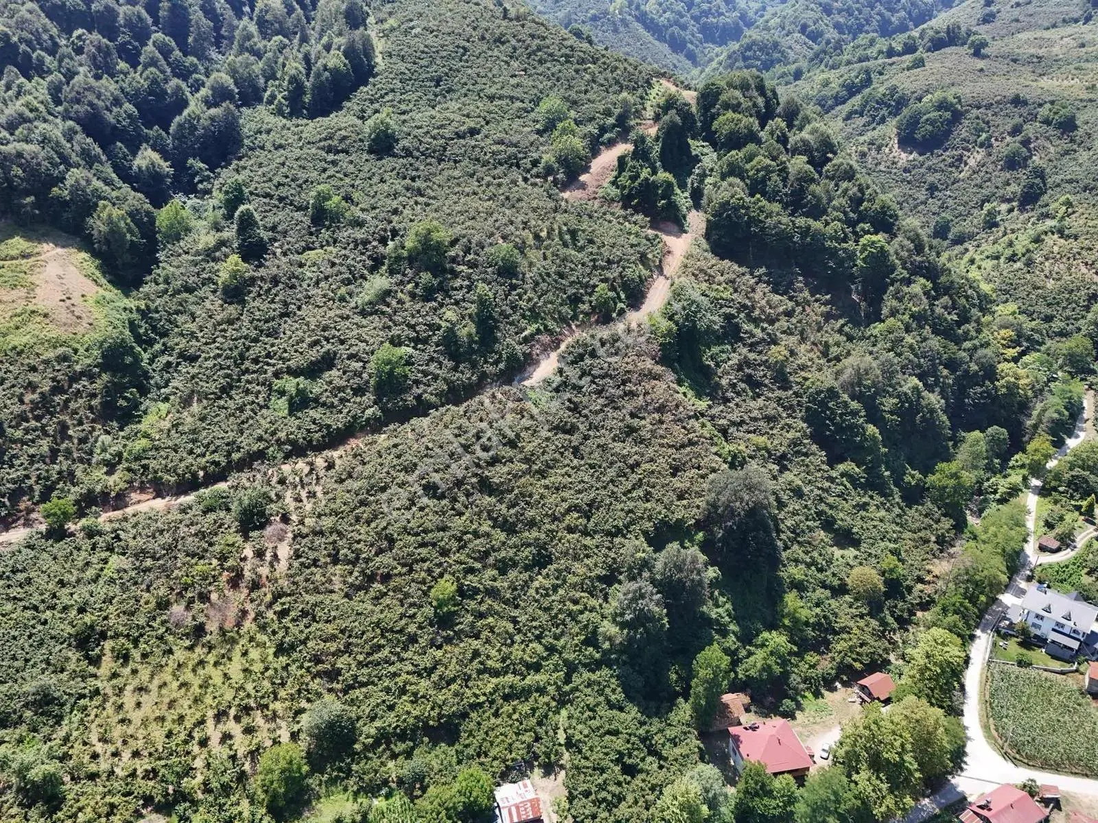 Mg Emlaktan Taşburunda İmarlı Satılık 2 Adet Arazi — fotoğraf 14