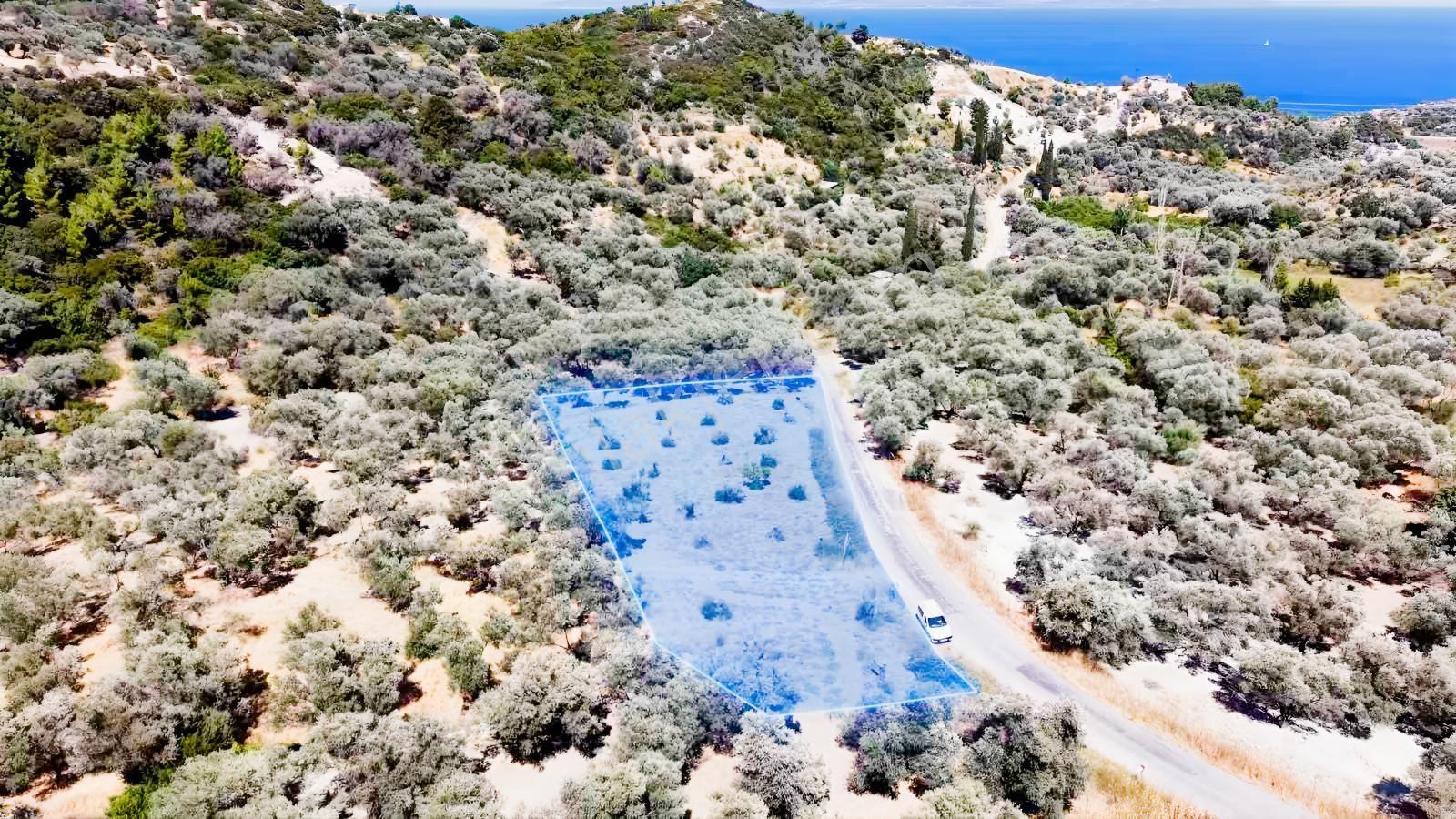 Startkey Ada Gayrimenkul'den 2.100 M2 Zeytin Ağaçlı Tarla — fotoğraf 3