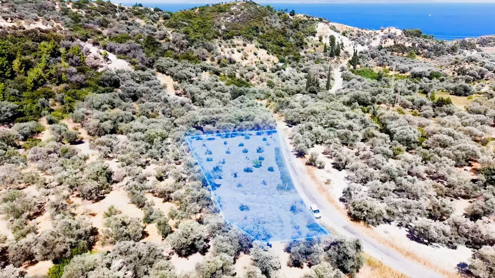 Startkey Ada Gayrimenkul'den 2.100 M2 Zeytin Ağaçlı Tarla — fotoğraf 5