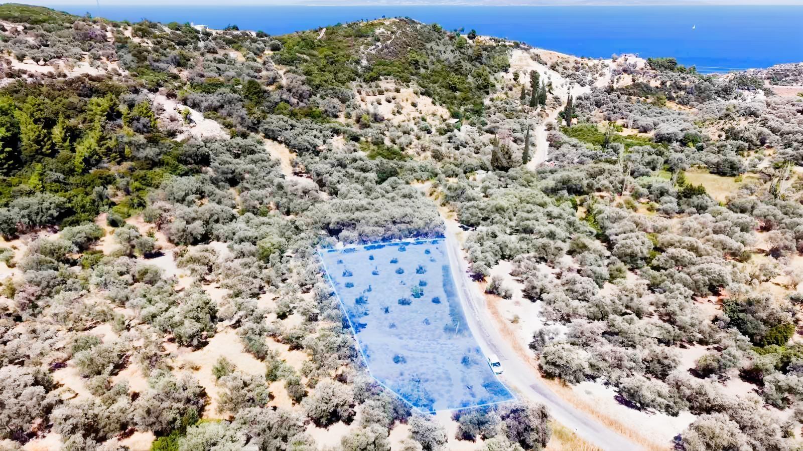 Startkey Ada Gayrimenkul'den 2.100 M2 Zeytin Ağaçlı Tarla — fotoğraf 7
