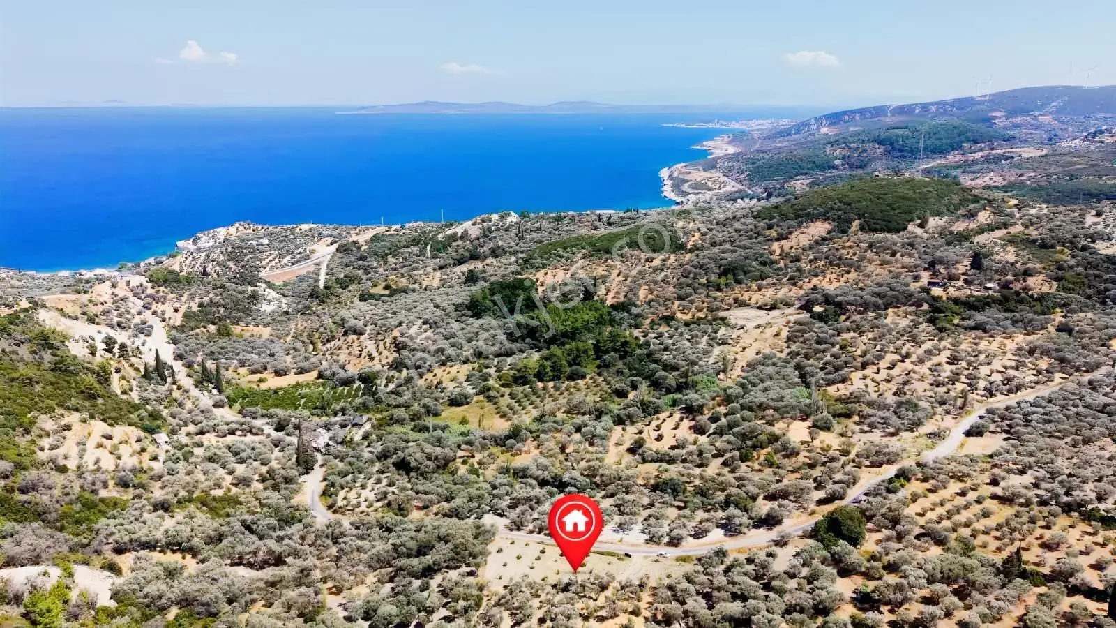 Startkey Ada Gayrimenkul'den 2.100 M2 Zeytin Ağaçlı Tarla — fotoğraf 10