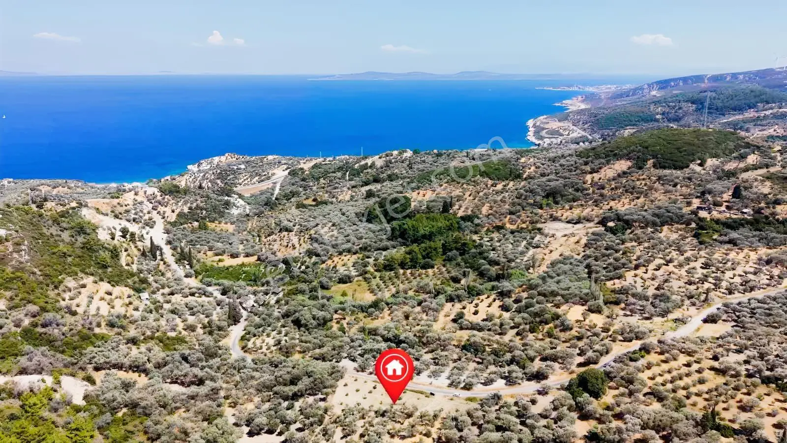 Startkey Ada Gayrimenkul'den 2.100 M2 Zeytin Ağaçlı Tarla — fotoğraf 11