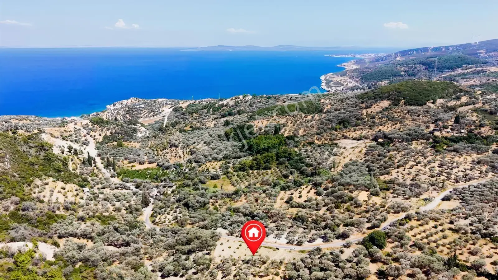 Startkey Ada Gayrimenkul'den 2.100 M2 Zeytin Ağaçlı Tarla — fotoğraf 12