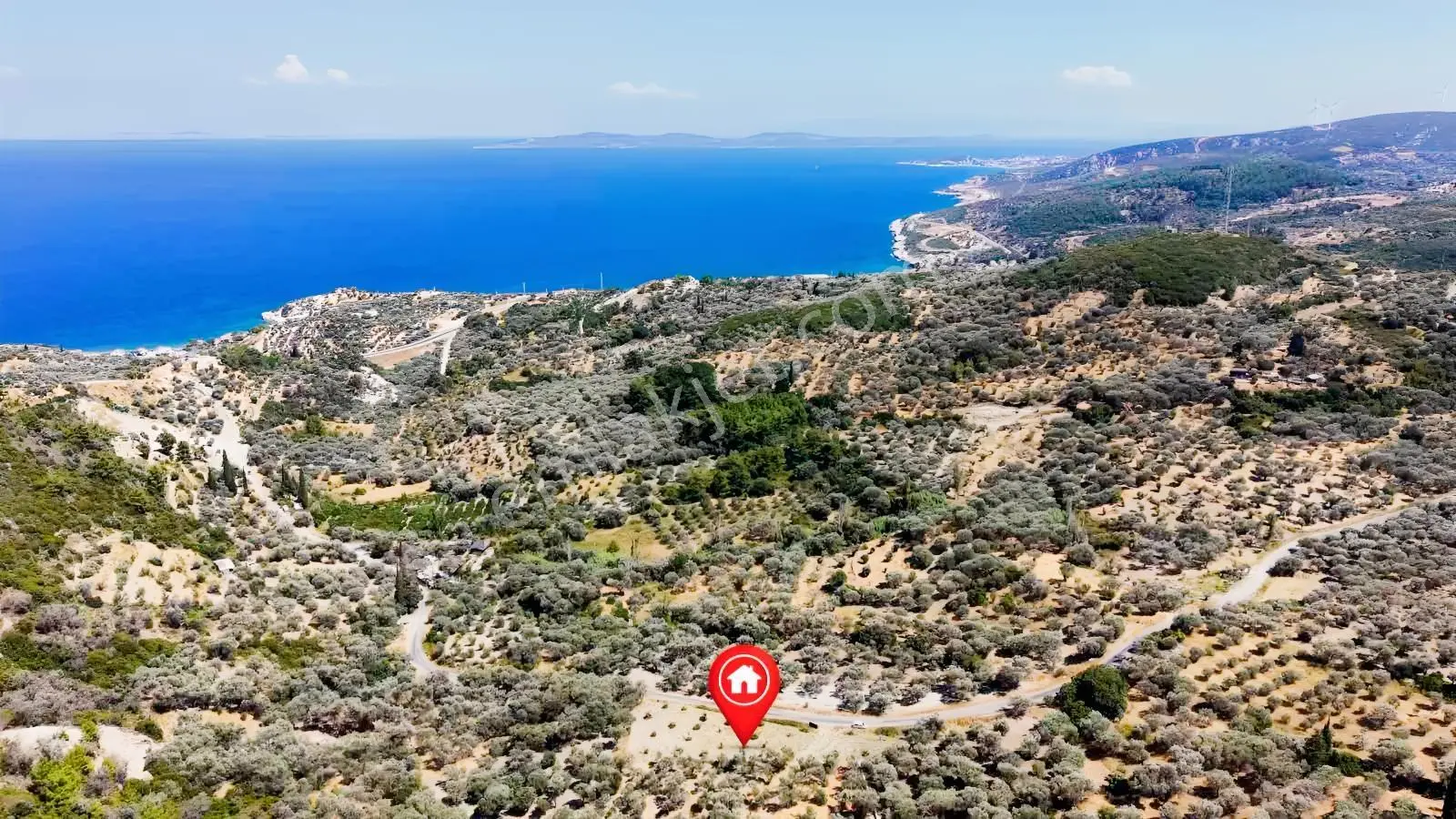 Startkey Ada Gayrimenkul'den 2.100 M2 Zeytin Ağaçlı Tarla — fotoğraf 13
