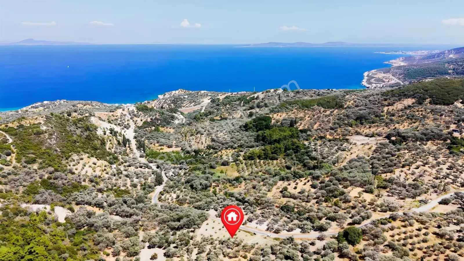Startkey Ada Gayrimenkul'den 2.100 M2 Zeytin Ağaçlı Tarla — fotoğraf 15