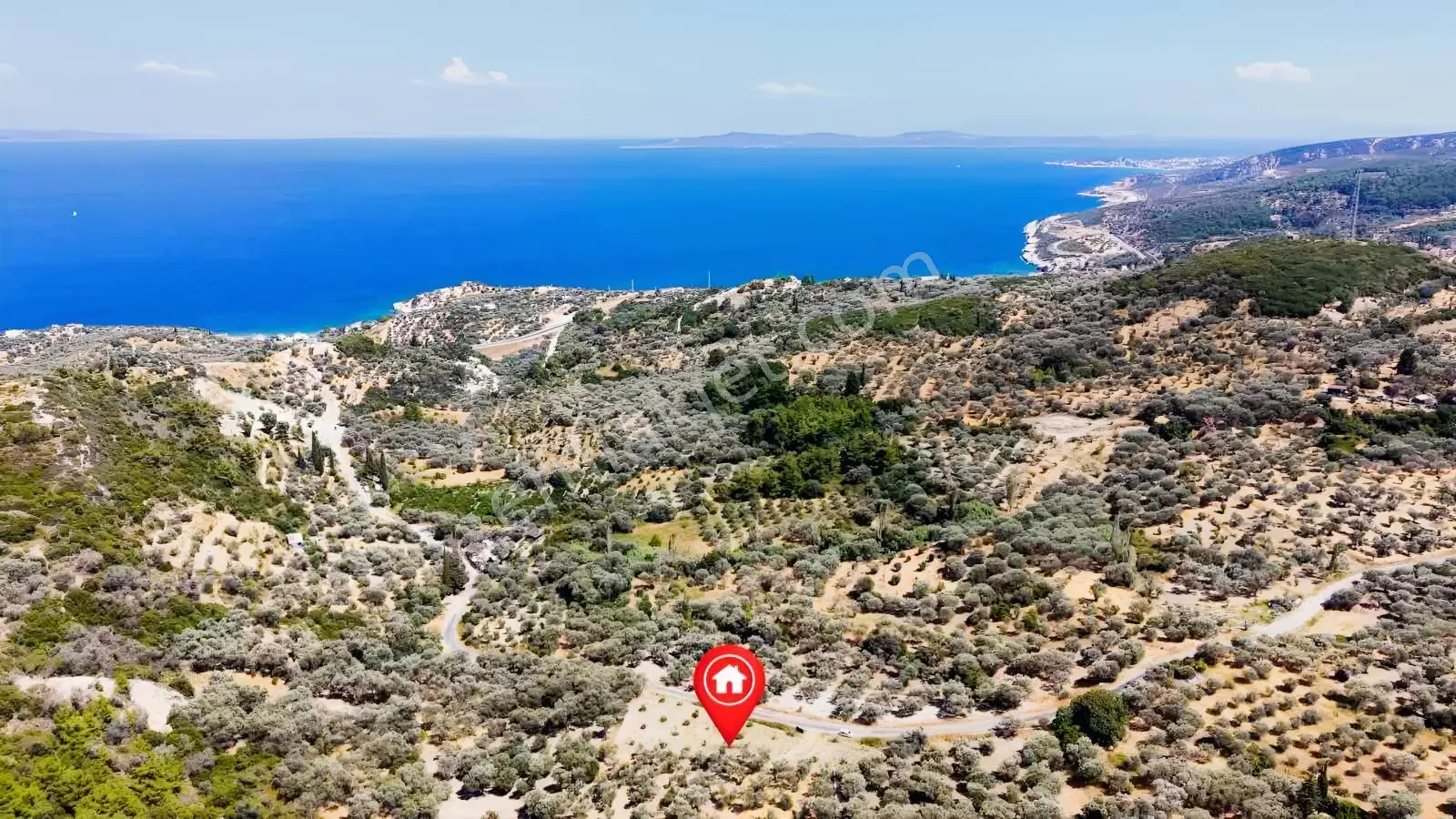 Startkey Ada Gayrimenkul'den 2.100 M2 Zeytin Ağaçlı Tarla — fotoğraf 17