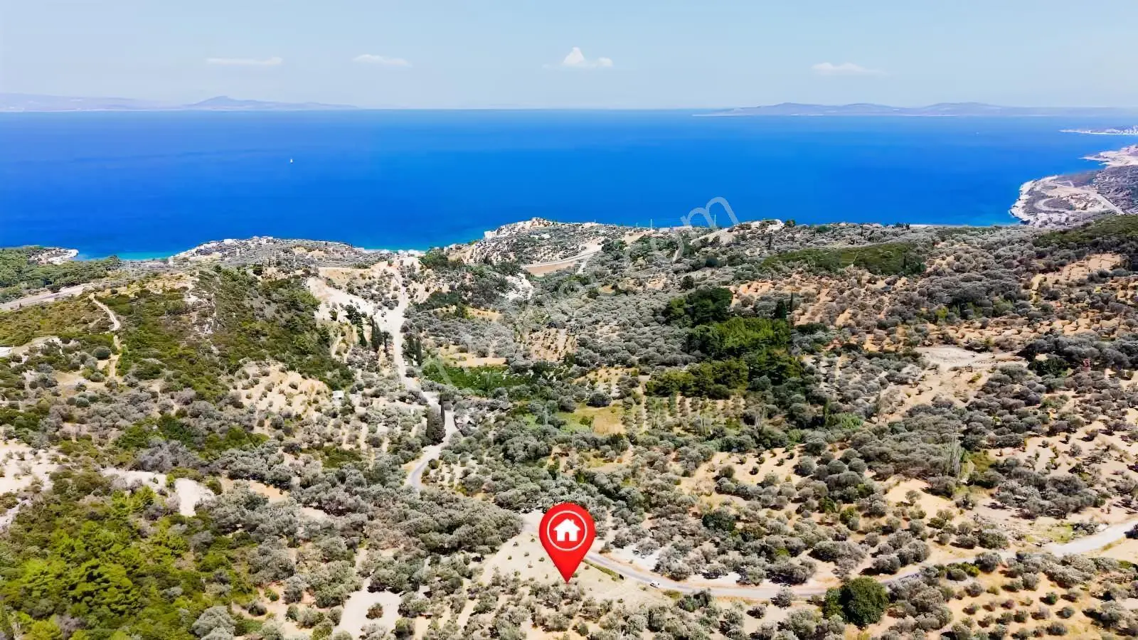 Startkey Ada Gayrimenkul'den 2.100 M2 Zeytin Ağaçlı Tarla — fotoğraf 18