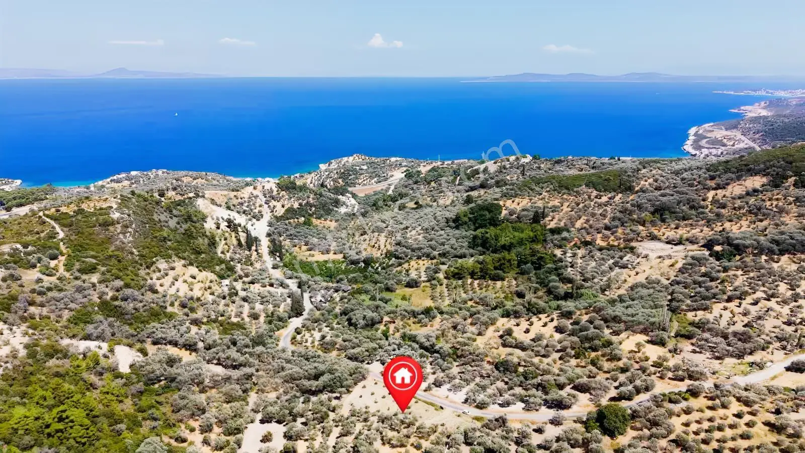 Startkey Ada Gayrimenkul'den 2.100 M2 Zeytin Ağaçlı Tarla — fotoğraf 19