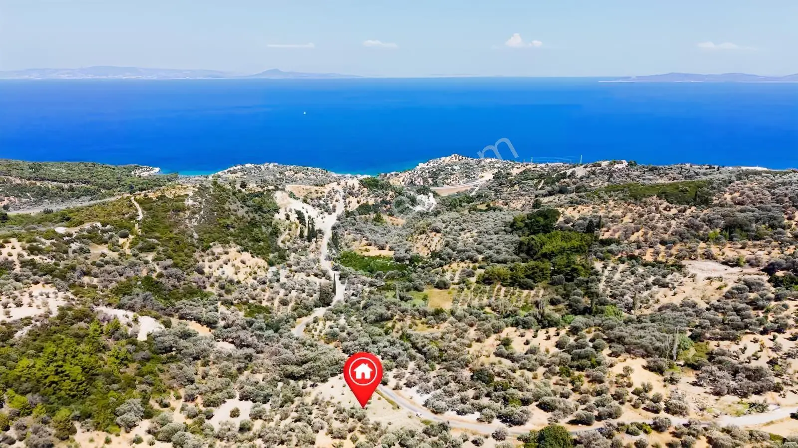 Startkey Ada Gayrimenkul'den 2.100 M2 Zeytin Ağaçlı Tarla — fotoğraf 20