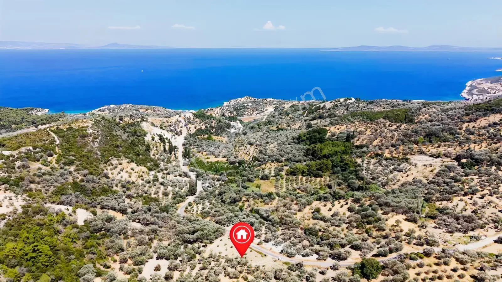 Startkey Ada Gayrimenkul'den 2.100 M2 Zeytin Ağaçlı Tarla — fotoğraf 23