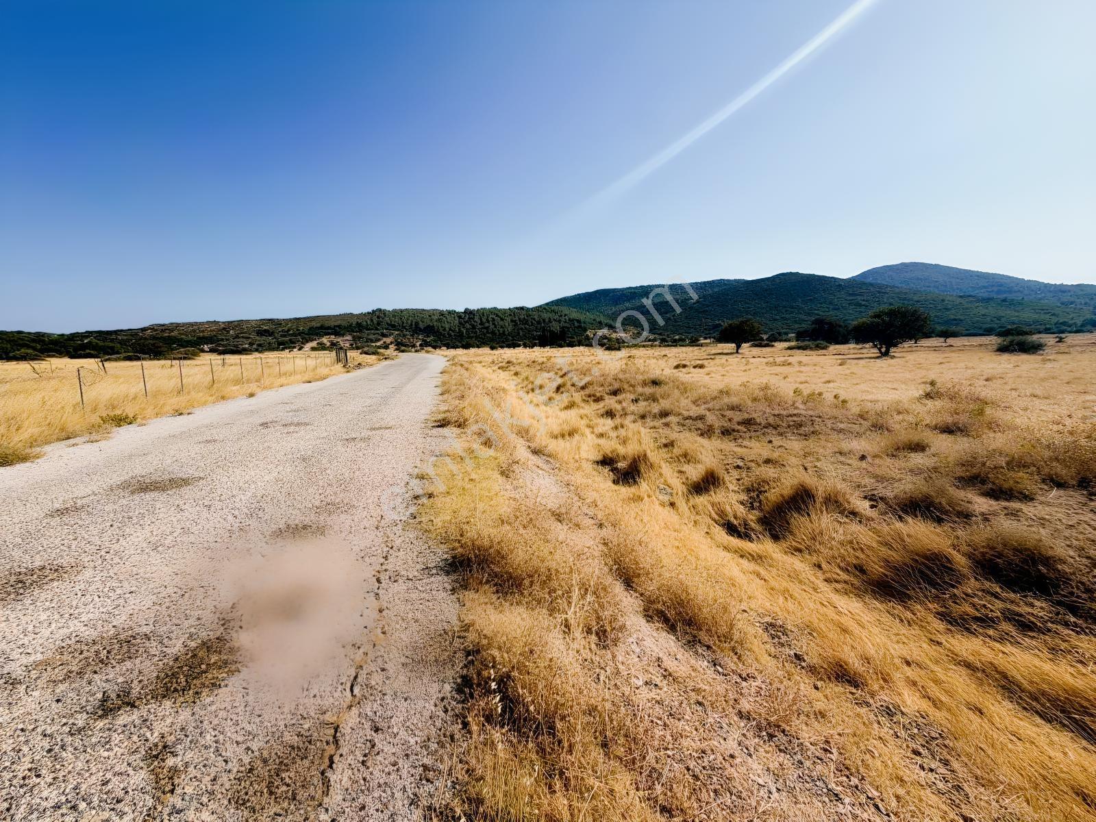 Startkey Ada Gayrimenkul'den Ovacıkta 1.350 M2 Düz Arazi — fotoğraf 2
